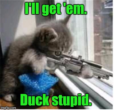 I'll get 'em. Duck stupid. | made w/ Imgflip meme maker