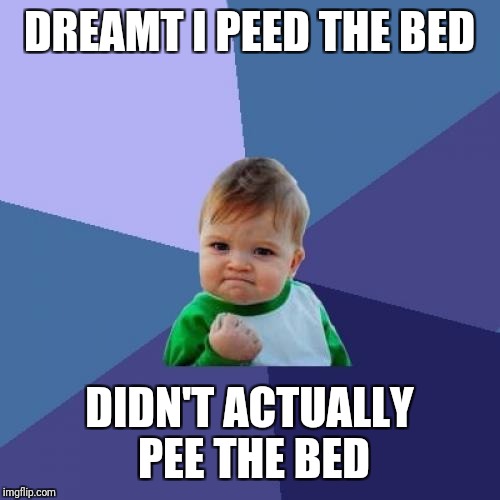 Success Kid Meme | DREAMT I PEED THE BED; DIDN'T ACTUALLY PEE THE BED | image tagged in memes,success kid | made w/ Imgflip meme maker