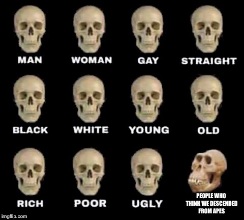 man woman gay straight skull | PEOPLE WHO THINK WE DESCENDED FROM APES | image tagged in man woman gay straight skull | made w/ Imgflip meme maker