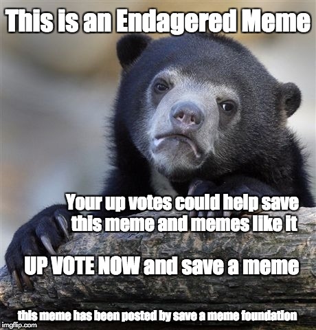 This is an Endagered Meme | This is an Endagered Meme; Your up votes could help save this meme and memes like it; UP VOTE NOW and save a meme; this meme has been posted by save a meme foundation | image tagged in memes,confession bear,up votes | made w/ Imgflip meme maker