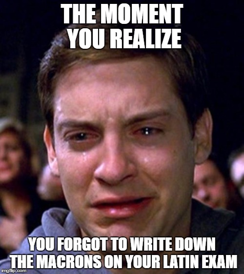 crying peter parker | THE MOMENT YOU REALIZE; YOU FORGOT TO WRITE DOWN THE MACRONS ON YOUR LATIN EXAM | image tagged in crying peter parker | made w/ Imgflip meme maker