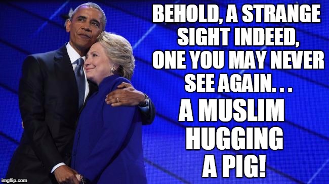 Believe it or not! | BEHOLD, A STRANGE SIGHT INDEED, ONE YOU MAY NEVER SEE AGAIN. . . A MUSLIM HUGGING A PIG! | image tagged in obama,hillary clinton,muslim,pig,believe it or not,joke | made w/ Imgflip meme maker