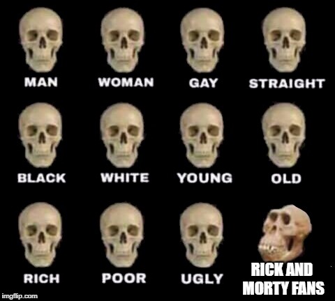 idiot skull | RICK AND MORTY FANS | image tagged in idiot skull | made w/ Imgflip meme maker