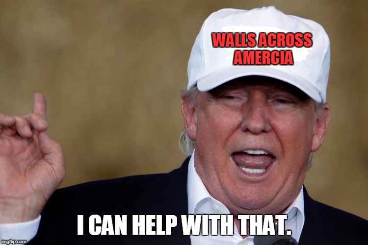Donald Trump Blank MAGA Hat | WALLS ACROSS AMERCIA I CAN HELP WITH THAT. | image tagged in donald trump blank maga hat | made w/ Imgflip meme maker