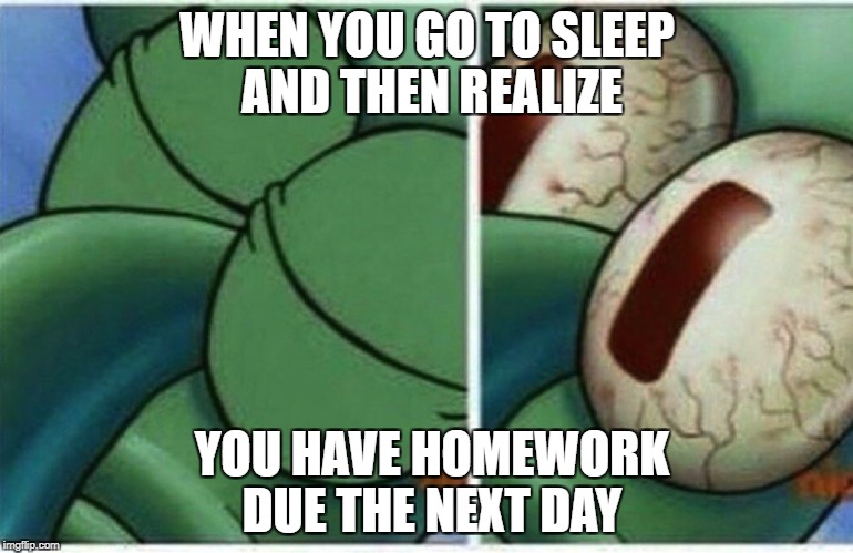 Squidward | WHEN YOU GO TO SLEEP AND THEN REALIZE; YOU HAVE HOMEWORK DUE THE NEXT DAY | image tagged in squidward | made w/ Imgflip meme maker