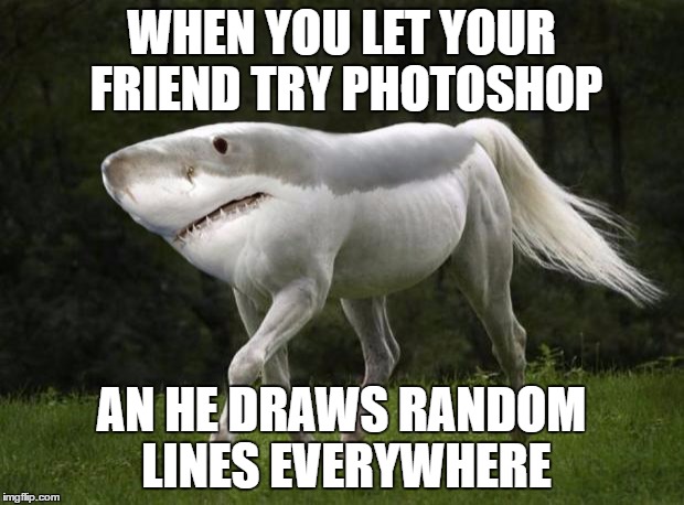 behold the scribbly dibbly doo | WHEN YOU LET YOUR FRIEND TRY PHOTOSHOP; AN HE DRAWS RANDOM LINES EVERYWHERE | image tagged in shark horse,memes,funny | made w/ Imgflip meme maker