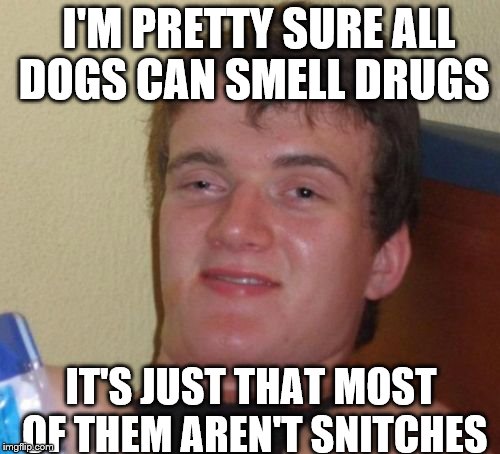 10 Guy | I'M PRETTY SURE ALL DOGS CAN SMELL DRUGS; IT'S JUST THAT MOST OF THEM AREN'T SNITCHES | image tagged in memes,10 guy | made w/ Imgflip meme maker
