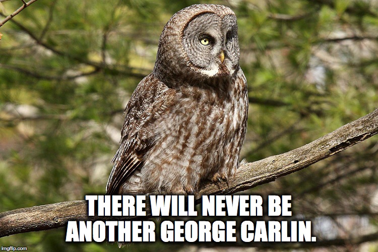 THERE WILL NEVER BE ANOTHER GEORGE CARLIN. | made w/ Imgflip meme maker