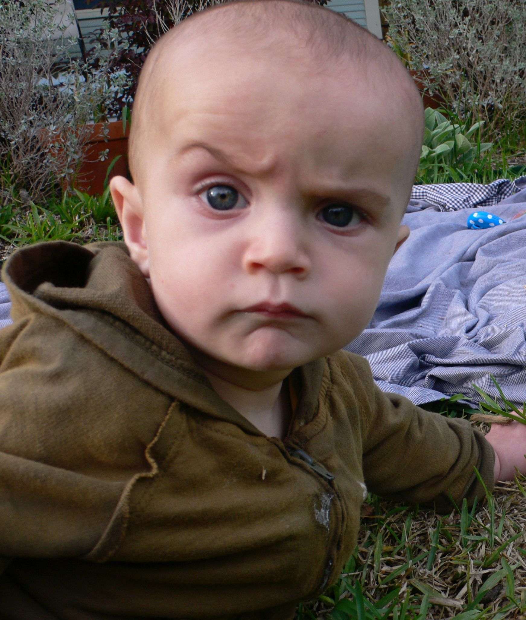 Meme Faces - Skeptical Baby