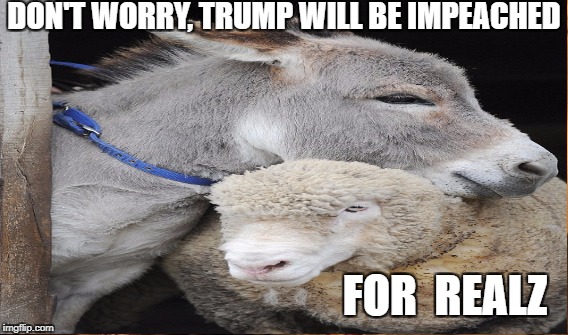 Democrat Comforts Liberal Sheeple | DON'T WORRY, TRUMP WILL BE IMPEACHED; FOR 
REALZ | image tagged in democrats,sheep,trump impeachment,donald trump,donkey,donkeycrat | made w/ Imgflip meme maker