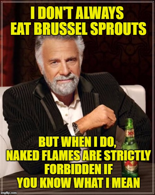 The Most Interesting Man In The World Meme | I DON'T ALWAYS EAT BRUSSEL SPROUTS BUT WHEN I DO, NAKED FLAMES ARE STRICTLY FORBIDDEN IF YOU KNOW WHAT I MEAN | image tagged in memes,the most interesting man in the world | made w/ Imgflip meme maker