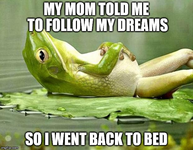 Lazy frog | MY MOM TOLD ME TO FOLLOW MY DREAMS; SO I WENT BACK TO BED | image tagged in lazy frog | made w/ Imgflip meme maker