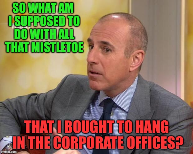 Matt Lauer | SO WHAT AM I SUPPOSED TO DO WITH ALL THAT MISTLETOE; THAT I BOUGHT TO HANG IN THE CORPORATE OFFICES? | image tagged in matt lauer | made w/ Imgflip meme maker