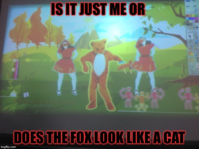 My classes brain break today. | IS IT JUST ME OR; DOES THE FOX LOOK LIKE A CAT | image tagged in memes,meme,funny meme,funny memes,funny because it's true | made w/ Imgflip meme maker