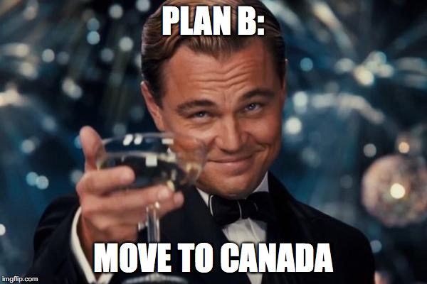 Leonardo Dicaprio Cheers Meme | PLAN B: MOVE TO CANADA | image tagged in memes,leonardo dicaprio cheers | made w/ Imgflip meme maker
