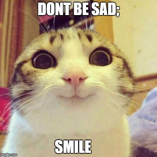 smiley cat | DONT BE SAD;; SMILE | image tagged in smiley cat | made w/ Imgflip meme maker