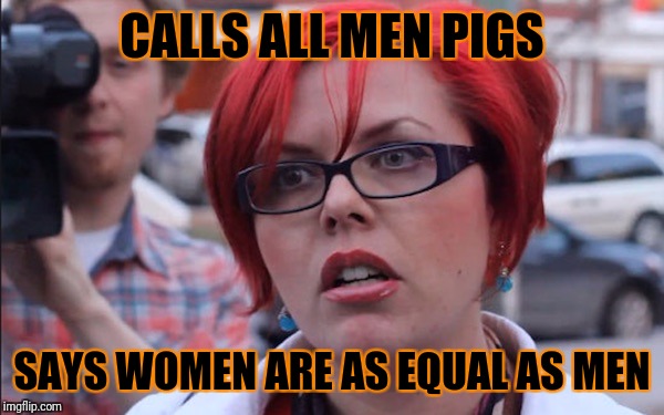 Feminazi | CALLS ALL MEN PIGS; SAYS WOMEN ARE AS EQUAL AS MEN | image tagged in feminist,triggered feminist,big red feminist | made w/ Imgflip meme maker