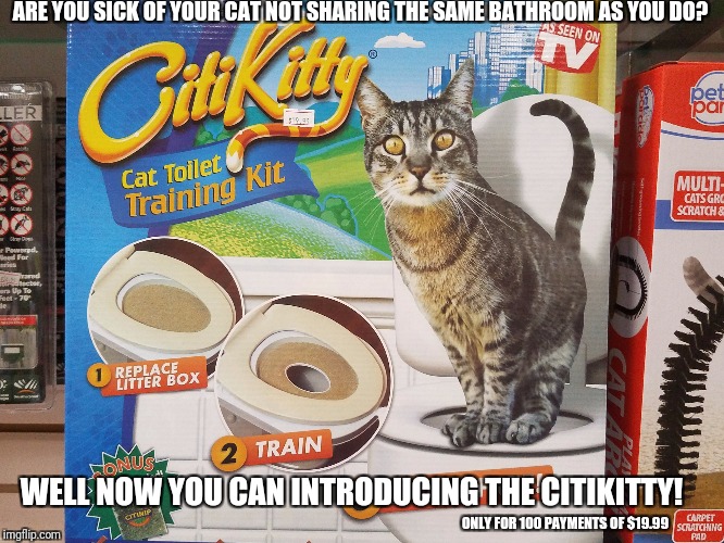 Get one while supplies last! | ARE YOU SICK OF YOUR CAT NOT SHARING THE SAME BATHROOM AS YOU DO? WELL NOW YOU CAN INTRODUCING THE CITIKITTY! ONLY FOR 100 PAYMENTS OF $19.99 | image tagged in tv ads,memes | made w/ Imgflip meme maker