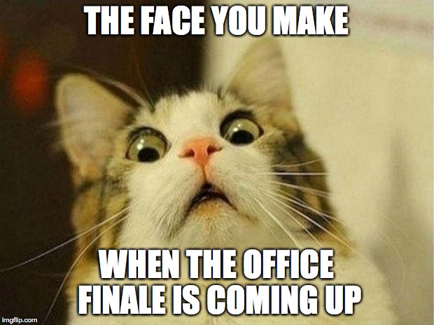 Scared Cat | THE FACE YOU MAKE; WHEN THE OFFICE FINALE IS COMING UP | image tagged in memes,scared cat | made w/ Imgflip meme maker