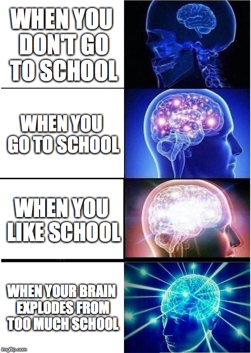 Expanding Brain Meme | WHEN YOU DON'T GO TO SCHOOL; WHEN YOU GO TO SCHOOL; WHEN YOU LIKE SCHOOL; WHEN YOUR BRAIN EXPLODES FROM TOO MUCH SCHOOL | image tagged in memes,expanding brain | made w/ Imgflip meme maker