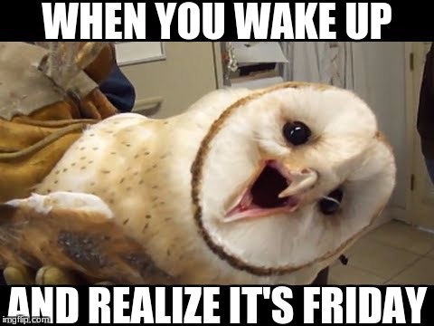 WHEN YOU WAKE UP; AND REALIZE IT'S FRIDAY | image tagged in friday | made w/ Imgflip meme maker