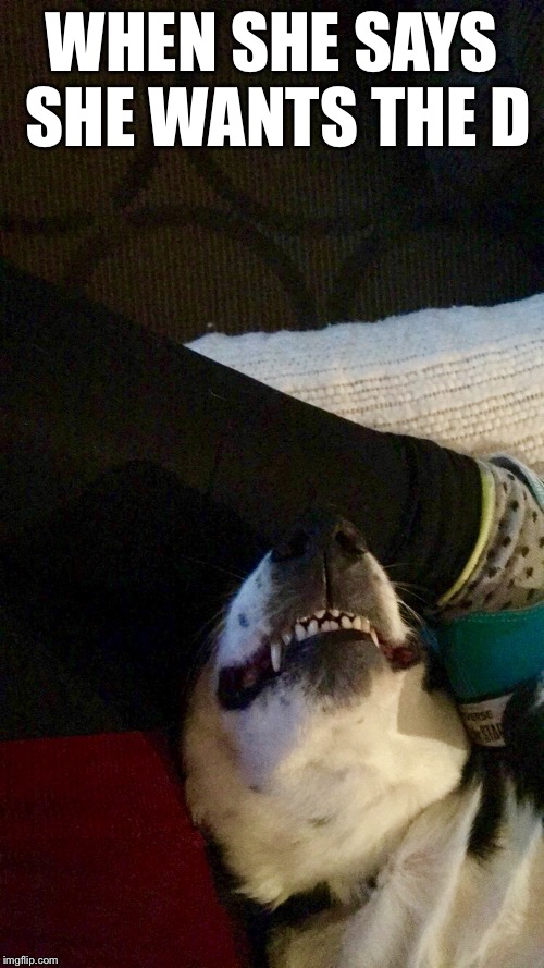 She wants the D Imgflip