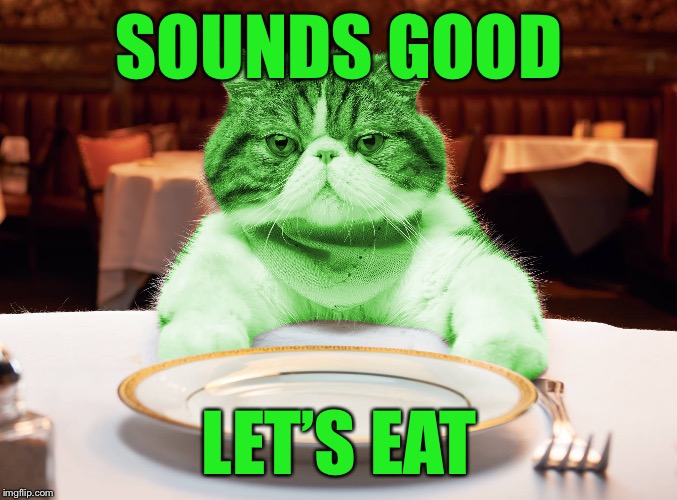 RayCat Hungry | SOUNDS GOOD LET’S EAT | image tagged in raycat hungry | made w/ Imgflip meme maker