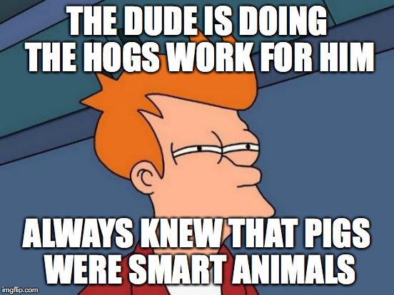 Futurama Fry Meme | THE DUDE IS DOING THE HOGS WORK FOR HIM ALWAYS KNEW THAT PIGS WERE SMART ANIMALS | image tagged in memes,futurama fry | made w/ Imgflip meme maker