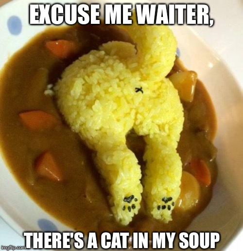 I thought a fly in my soup was bad. | EXCUSE ME WAITER, THERE'S A CAT IN MY SOUP | image tagged in food,food week,funny memes,funny cats | made w/ Imgflip meme maker