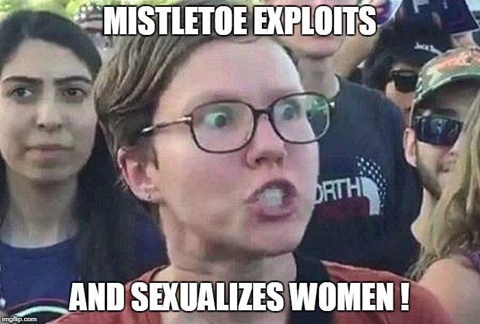 MISTLETOE EXPLOITS AND SEXUALIZES WOMEN ! | made w/ Imgflip meme maker