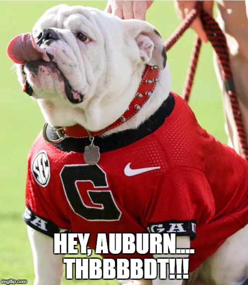 Uga X with the Raspberry | HEY, AUBURN.... THBBBBDT!!! | image tagged in uga football | made w/ Imgflip meme maker