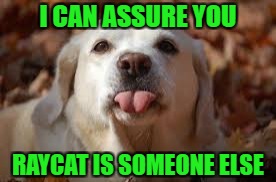 I CAN ASSURE YOU RAYCAT IS SOMEONE ELSE | made w/ Imgflip meme maker