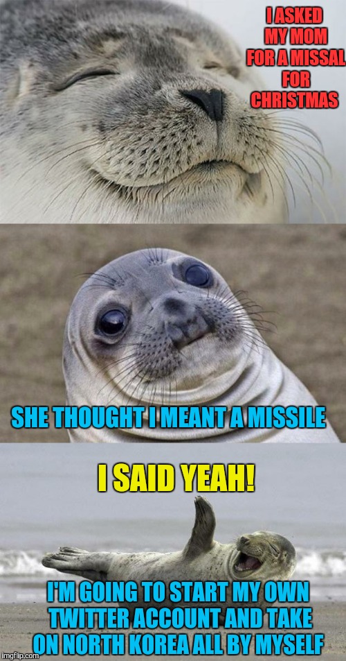 In her defense I do have a large gun collection  | I ASKED MY MOM FOR A MISSAL FOR CHRISTMAS; SHE THOUGHT I MEANT A MISSILE; I SAID YEAH! I'M GOING TO START MY OWN TWITTER ACCOUNT AND TAKE ON NORTH KOREA ALL BY MYSELF | image tagged in memes,north korea,laughing seal,awkward moment sealion,missile | made w/ Imgflip meme maker