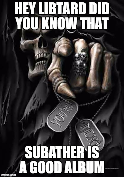 Grim Reaper | HEY LIBTARD DID YOU KNOW THAT; SUBATHER IS A GOOD ALBUM | image tagged in grim reaper | made w/ Imgflip meme maker