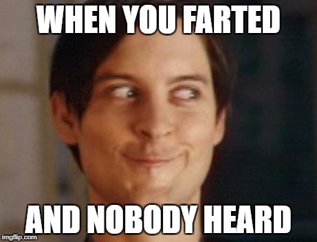 Spiderman Peter Parker Meme | WHEN YOU FARTED; AND NOBODY HEARD | image tagged in memes,spiderman peter parker | made w/ Imgflip meme maker
