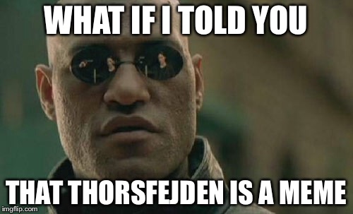 Matrix Morpheus Meme | WHAT IF I TOLD YOU; THAT THORSFEJDEN IS A MEME | image tagged in memes,matrix morpheus | made w/ Imgflip meme maker