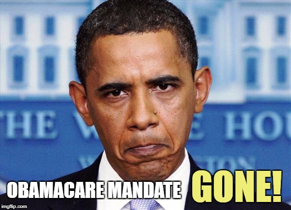 The IRS is no longer going to PUNISH you for not having health insurance. | OBAMACARE MANDATE GONE! | image tagged in trump,obamacare,memes | made w/ Imgflip meme maker