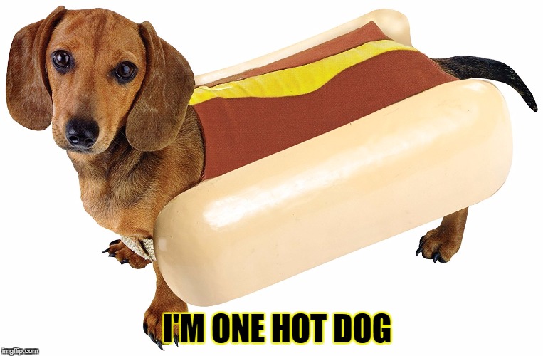 I'M ONE HOT DOG | made w/ Imgflip meme maker