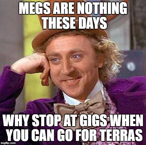 Creepy Condescending Wonka Meme | MEGS ARE NOTHING THESE DAYS WHY STOP AT GIGS WHEN YOU CAN GO FOR TERRAS | image tagged in memes,creepy condescending wonka | made w/ Imgflip meme maker