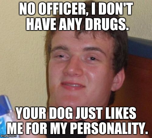 10 Guy | NO OFFICER, I DON'T HAVE ANY DRUGS. YOUR DOG JUST LIKES ME FOR MY PERSONALITY. | image tagged in memes,10 guy | made w/ Imgflip meme maker