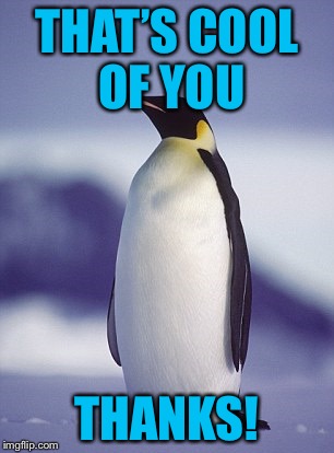 AmericanPenguin | THAT’S COOL OF YOU THANKS! | image tagged in americanpenguin | made w/ Imgflip meme maker