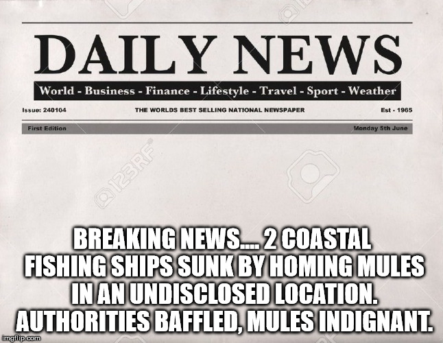 newspaper | BREAKING NEWS.... 2 COASTAL FISHING SHIPS SUNK BY HOMING MULES IN AN UNDISCLOSED LOCATION. AUTHORITIES BAFFLED, MULES INDIGNANT. | image tagged in newspaper | made w/ Imgflip meme maker