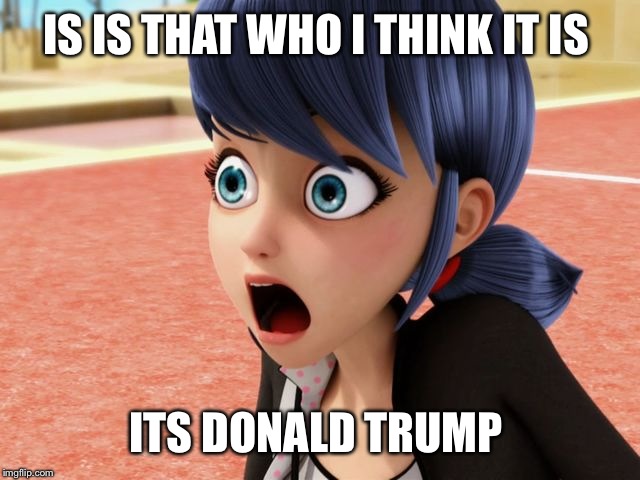 Miraculous Marinette Scared | IS IS THAT WHO I THINK IT IS; ITS DONALD TRUMP | image tagged in miraculous marinette scared | made w/ Imgflip meme maker
