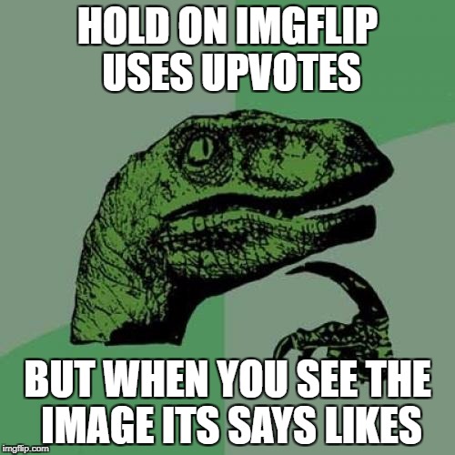Philosoraptor Meme | HOLD ON IMGFLIP USES UPVOTES; BUT WHEN YOU SEE THE IMAGE ITS SAYS LIKES | image tagged in memes,philosoraptor | made w/ Imgflip meme maker
