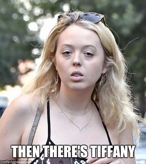 THEN THERE'S TIFFANY | made w/ Imgflip meme maker
