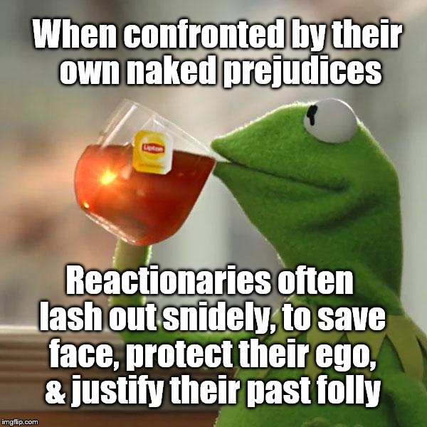 But That's None Of My Business Meme | When confronted by their own naked prejudices Reactionaries often lash out snidely, to save face, protect their ego, & justify their past fo | image tagged in memes,but thats none of my business,kermit the frog | made w/ Imgflip meme maker