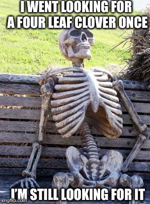 Waiting Skeleton Meme | I WENT LOOKING FOR A FOUR LEAF CLOVER ONCE; I’M STILL LOOKING FOR IT | image tagged in memes,waiting skeleton | made w/ Imgflip meme maker