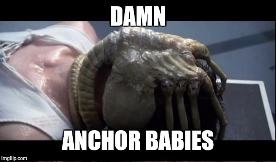 The problem with illegal "Aliens" | DAMN; ANCHOR BABIES | image tagged in memes,aliens | made w/ Imgflip meme maker