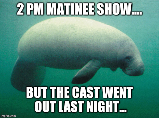 2 PM MATINEE SHOW.... BUT THE CAST WENT OUT LAST NIGHT... | image tagged in manatee matinee | made w/ Imgflip meme maker