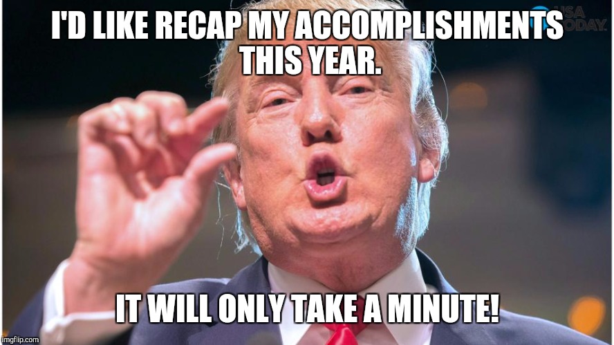 Donald Trump small brain | I'D LIKE RECAP MY ACCOMPLISHMENTS THIS YEAR. IT WILL ONLY TAKE A MINUTE! | image tagged in donald trump small brain | made w/ Imgflip meme maker